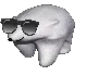 9828sunglassbear