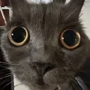 carstare