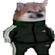 xmistaSwagdog