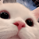 pA_cat_see_n Discord emoji