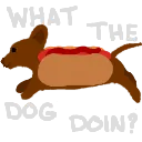17_whatthedogdoin