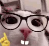 plinkge plinkge