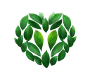 Skjermbilde_20240130_031738remov Discord Emoji
