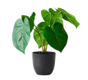 Skjermbilde_20240130_030632remov Discord Emoji