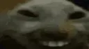 xdcat xdcat