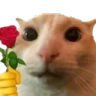 pA_Flowercat Discord emoji