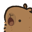 :capybara: