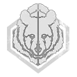 brown_bear