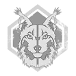 lynx lynx