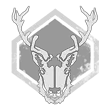 reindeer