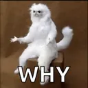 Catwhy catWHY Discord Emoji