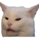 Cathuh catHuh Discord Emoji