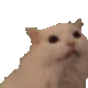 Meow Meow