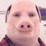 Pork Pork