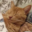 image_20240130_091914108