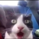 cb_surprise Discord emoji