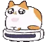 gatospin