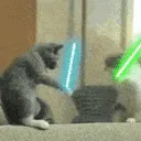 CatWars
