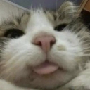 pA_auh Discord emoji