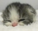 pA_eeping Discord emoji