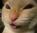 pA_Nyehehehe Discord emoji