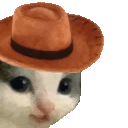 MMEOWDY Discord emoji