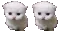 mitosis