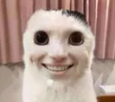 IMSUFFERING