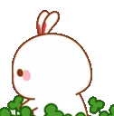 TujiLucky