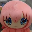 bocchi
