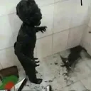 SLkQJOwxUsN0Hx5qLNNlkJX3C7zPPnnI