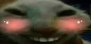 xddFlush xddFlush