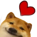 dghrt