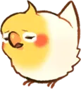 birdsigh