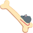rat_on_bone