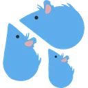 rat_as_sweat_drops rat_as_sweat_drops