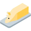 rat_butter