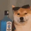 VodkaBro