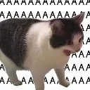 AAAAcat