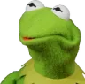 kermit_wut