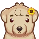 PJ_LilyLol