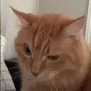 hhrmmm