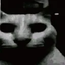 uncannycat uncannycat
