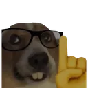 nerd_dog