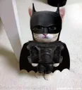 ElGatoBatman