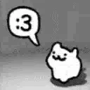 3_cat