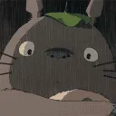 totoro_Blink
