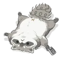 ughh_raccoon
