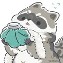 icepack_raccoon