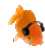 fiish Discord Emoji